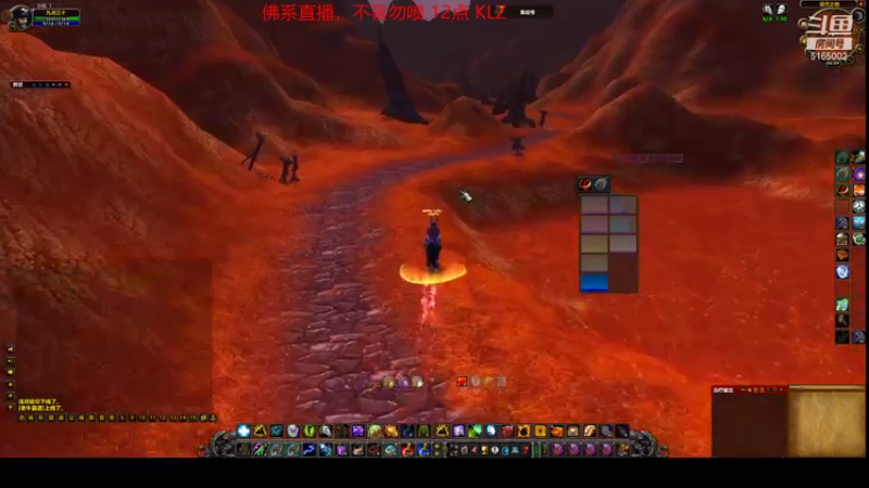 【2021-08-08 23点场】挂猪头卖你肉：水萨打副本---魔兽世界TBC