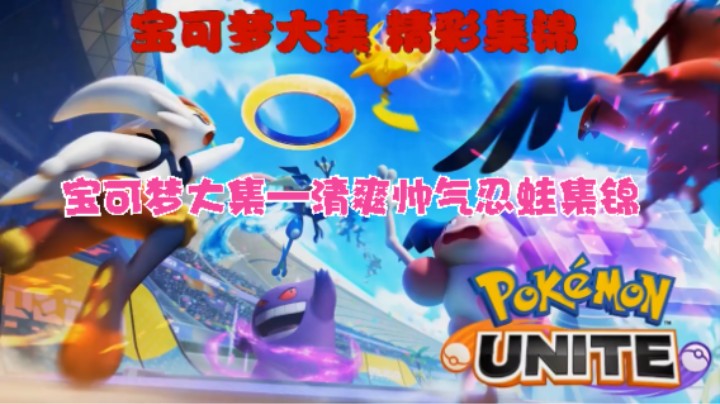 宝可梦大集——冲分——清爽帅气忍蛙集锦