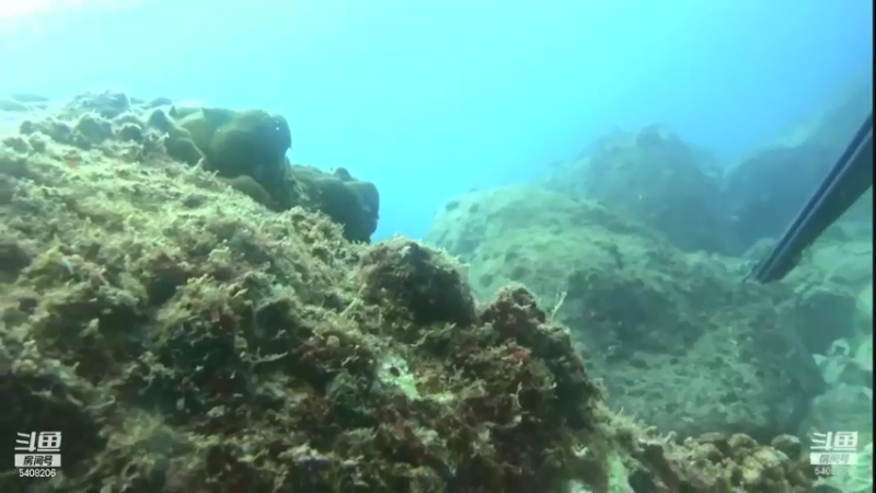 【2021-08-11 00点场】海道丶：检修装备 筹备中