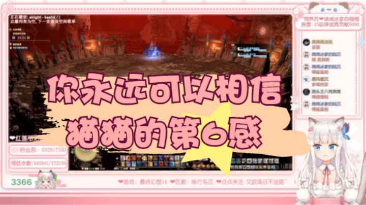 【冰导】你永远可以相信猫猫的第6感