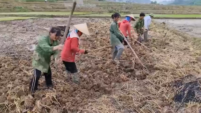 - 越南生猛系列 - 和孩子们一起烧烤！
