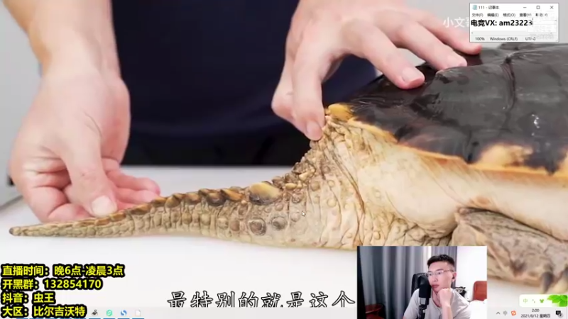 【2021-08-12 02点场】Chogod虫王：虫王：峡谷又是闹虫灾的一天！