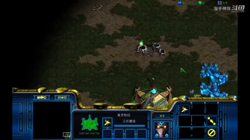 斗魂pvt压人族3矿2021-08-11