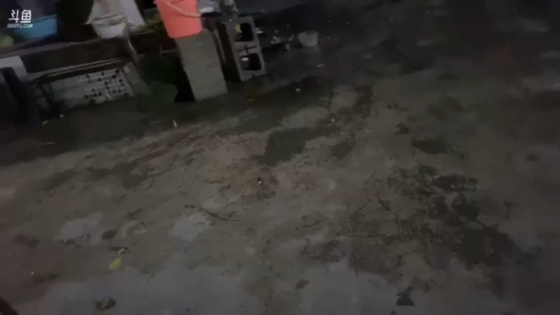 【2021-08-12 19点场】魅力生活i：晚上8点见