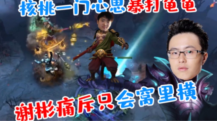 核桃把把手TB，早起狙击专打龟龟！谢彬点评：只会窝里横！