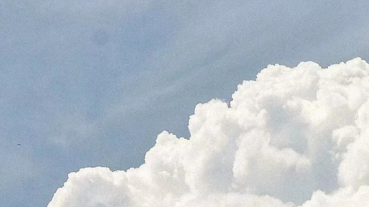 第三天直播上午下