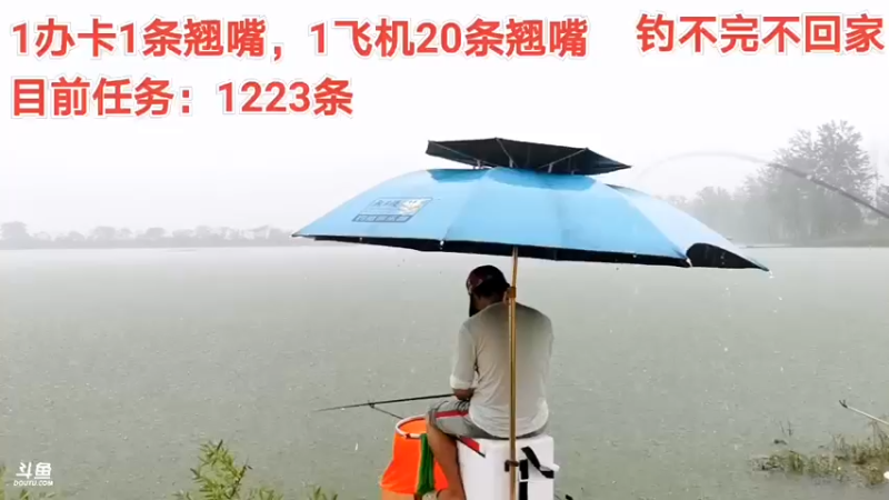 【2021-08-12 16点场】中华户外钓鱼：斧头湖休闲野钓




66666666