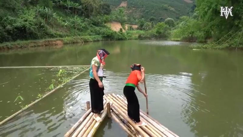 - 越南生猛系列 - 今天是比较特别的一餐，哈哈！