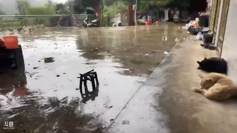 【2021-08-13 13点场】魅力生活i：准备甲鱼鳜鱼钓