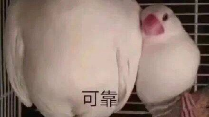 捉鬼大师在线抓鬼