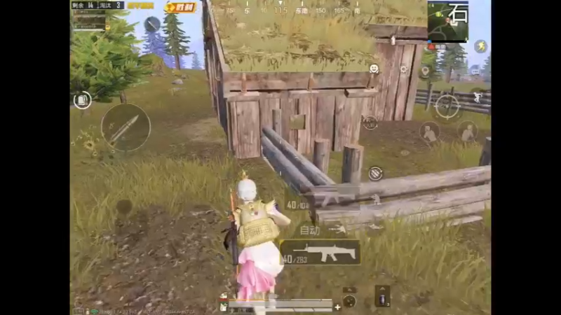 王牌局山谷机瞄钢枪8淘汰吃鸡