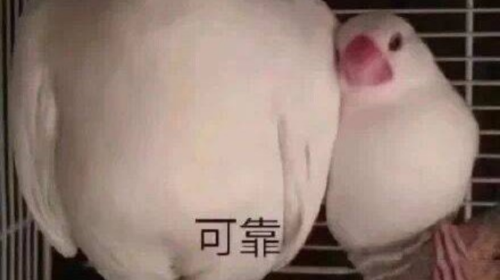 捉鬼大师在线抓鬼