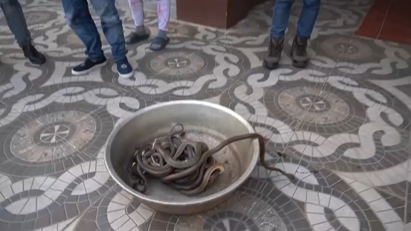 越南链子哥-这种生猛的火锅很少有人吃！