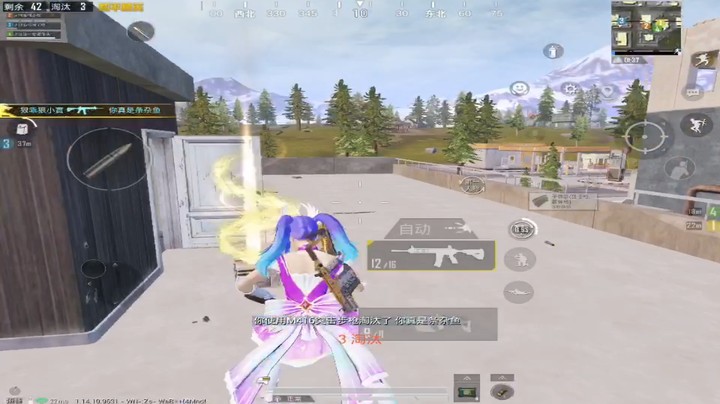 冠一打号上王牌，野排钢枪10淘汰吃鸡