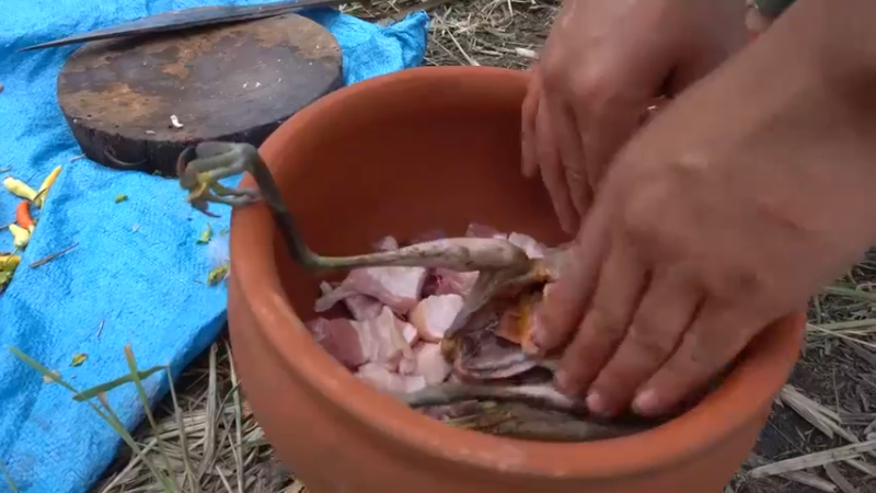 越南链子哥-乡村野鹅食谱！