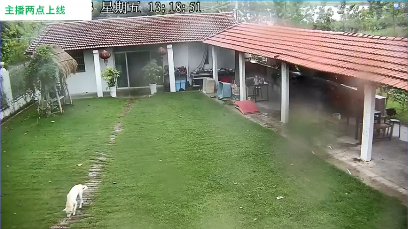 【2021-08-13 13点场】洪湖小肖：摸鱼-高能地带会爆户吗？