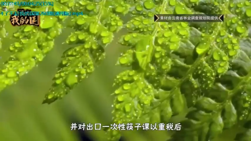 【2021-08-12 22点场】了不起我的国：解放军战力最强兵种： 炊事兵