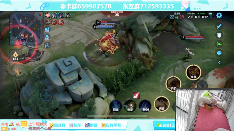 【2021-08-13 14点场】阿Biu一身绝技：大型撸猫现场，游戏只是插播