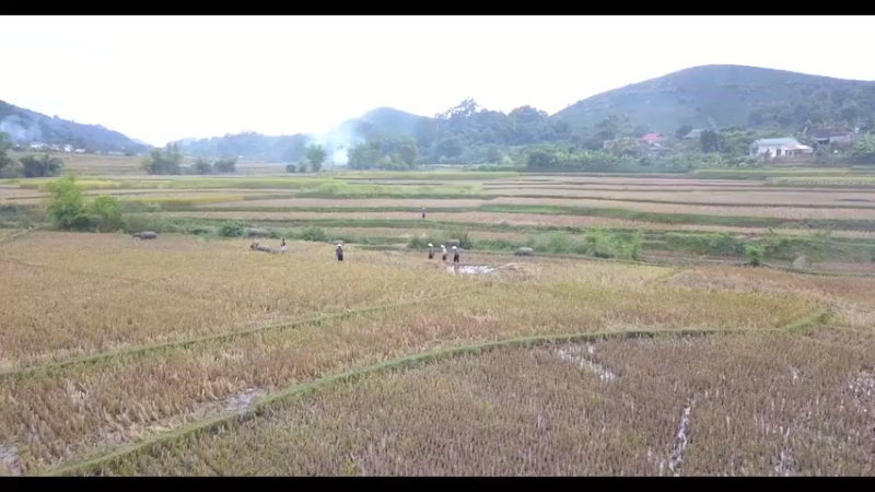 越南链子哥-乡村特色超级碗！