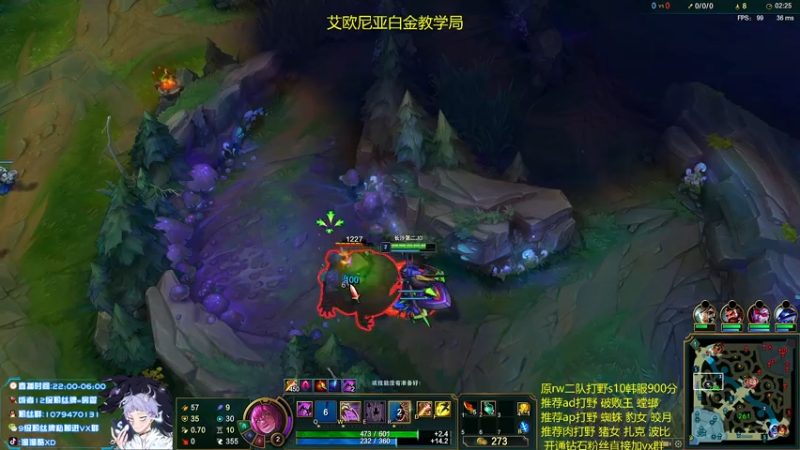 【2021-08-14 00点场】溜溜酷XD：王者打野教你光速上分