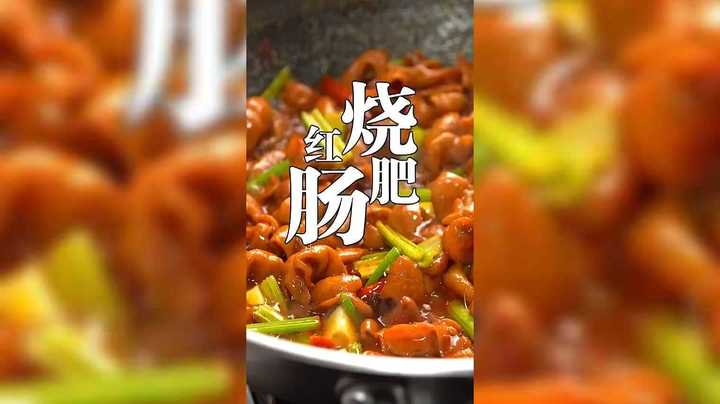 学做饭的一天之红烧肥肠