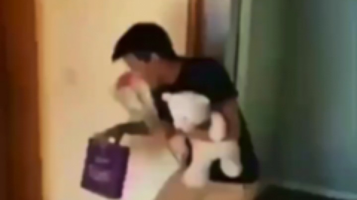 西巴[弹幕梗那咋办嘛]