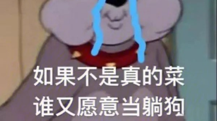 苏铁锤的一天