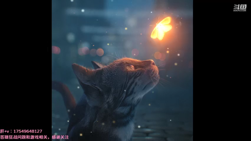 【2021-08-12 23点场】飞蛾小夏：飞蛾：狂战1拖4，全面教学