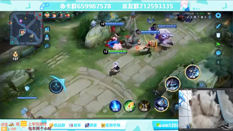 【2021-08-14 14点场】阿Biu一身绝技：大型撸猫现场，游戏只是插播