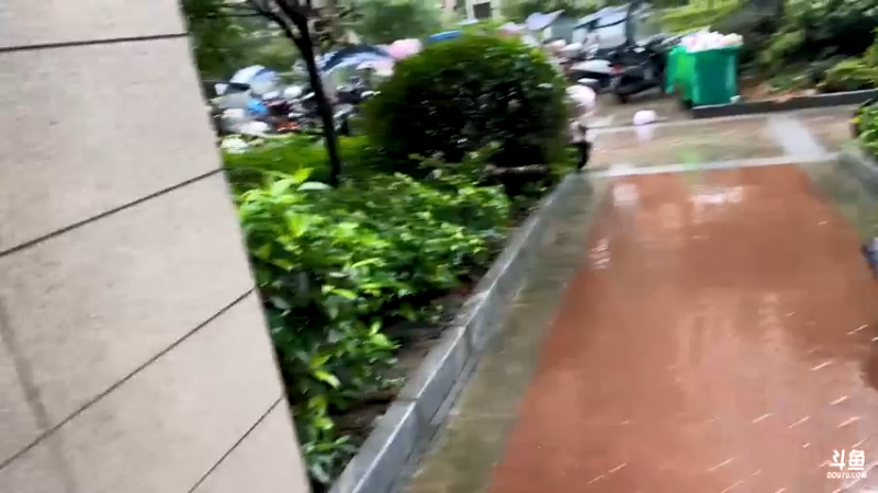 【2021-08-13 16点场】驴酱的冯雨大王：冯雨大王：新人主播，求个关注~