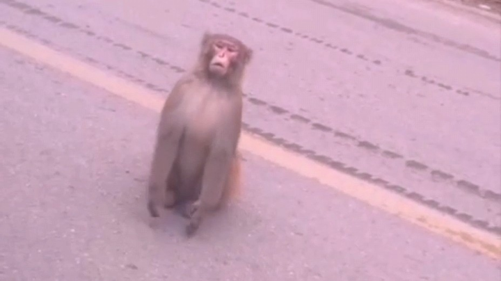 虽然不晓得是哪一个片段，但就是骚