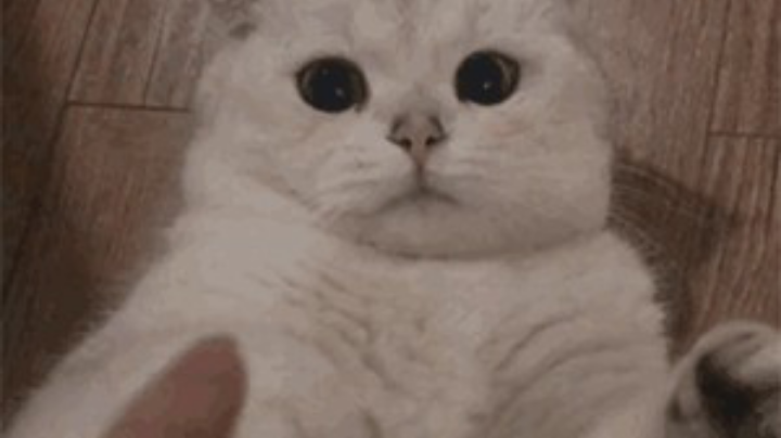 强壮的霸刀战场➕沙男努力进阶中