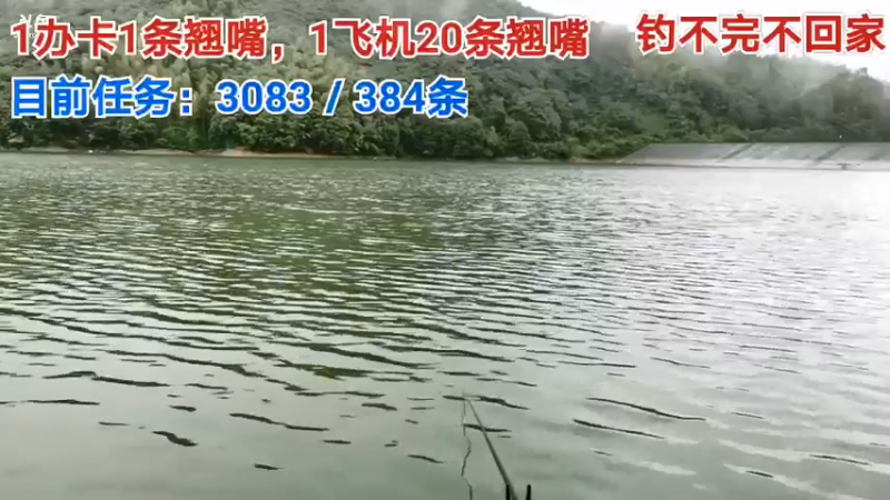 【2021-08-14 11点场】中华户外钓鱼：换钓场能完成多少