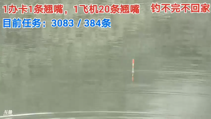 【2021-08-14 17点场】中华户外钓鱼：换钓场能完成多少