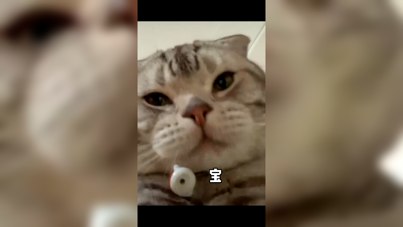 理理我，我的宝～