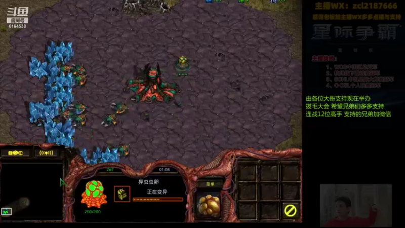 【2021-08-12 23点场】Svs_fengzi：Svs_fengzi的直播间