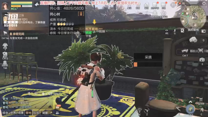 【2021-08-13 16点场】蓝总依然：蓝总：继续帮丫头。练号。