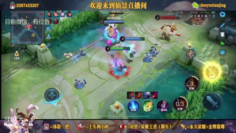 白虎真好玩啊