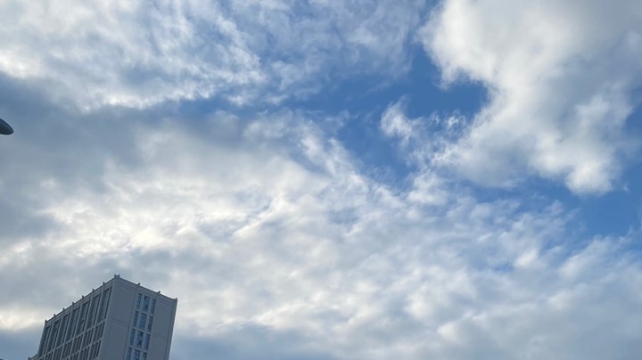 国服鲁班815
