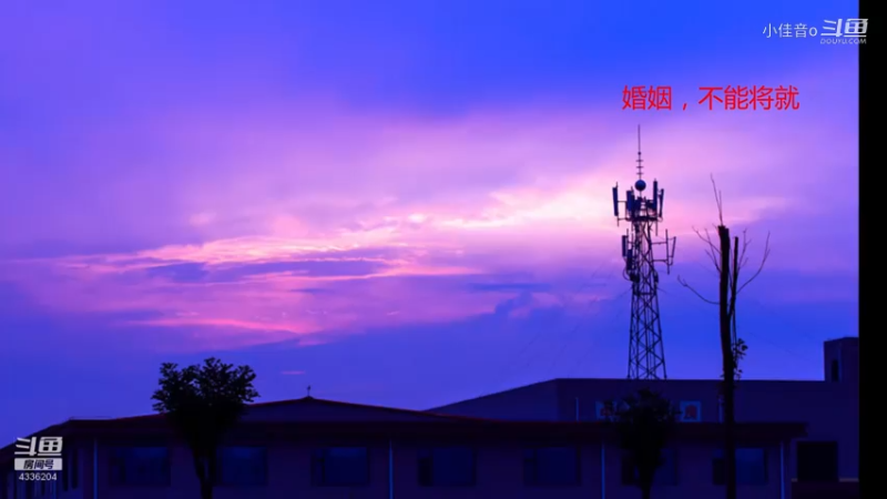 婚姻，不能将就