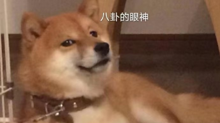 游戏日常