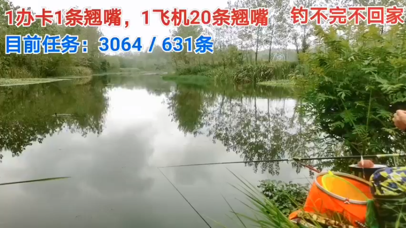 【2021-08-15 16点场】中华户外钓鱼：换钓场能完成多少