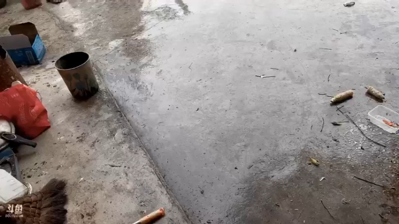 【2021-08-15 17点场】魅力生活i：清蒸翘嘴腊牛肉