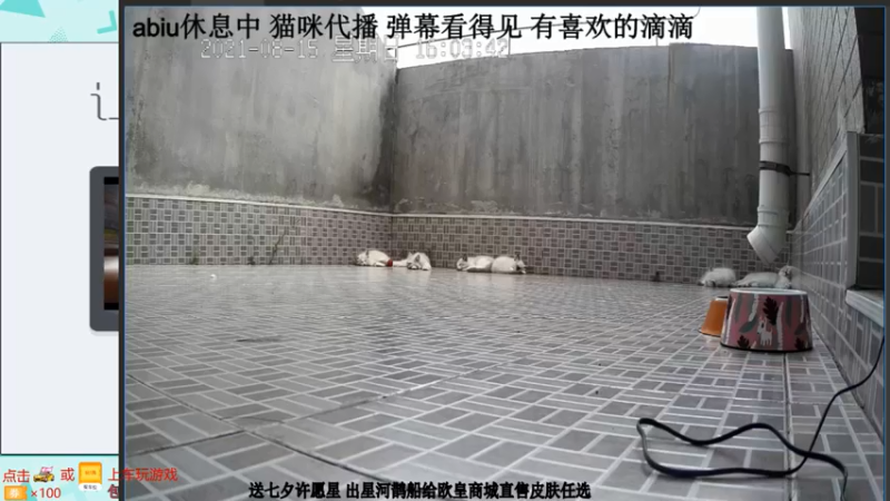 【2021-08-15 16点场】阿Biu一身绝技：办卡永久车位，云樱小话痨嘎嘎乱杀