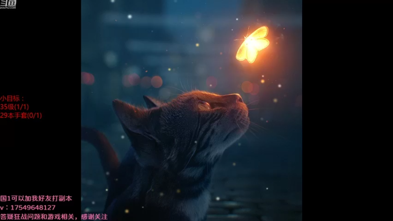 【2021-08-14 23点场】飞蛾小夏：飞蛾：狂战全面教学，萌新指南