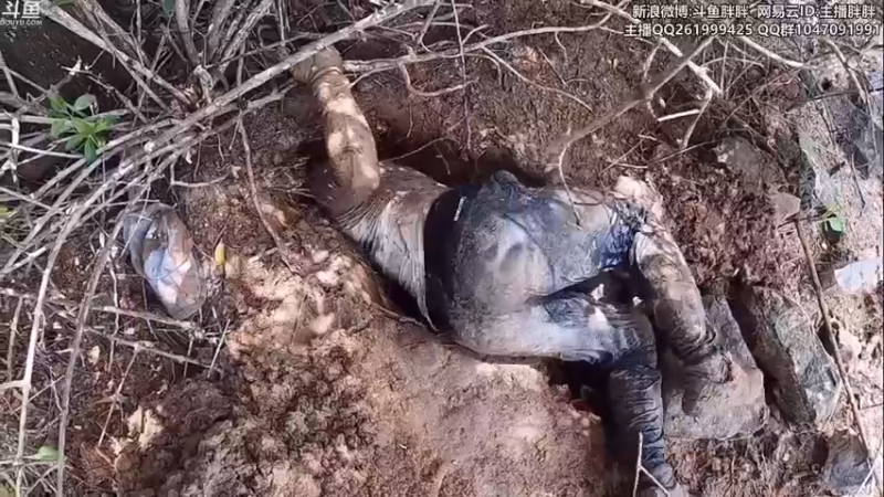 【2021-08-16 03点场】胖胖灬：胖胖OB：RNG\FPX\EDG季后赛！