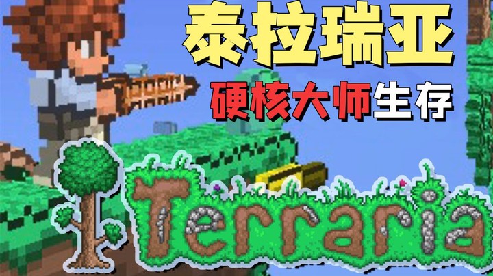 泰拉瑞亚 单机热游 斗鱼视频 泰拉瑞亚 单机热游 斗鱼视频