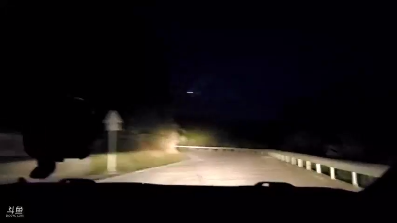 【2021-08-16 20点场】逐梦兄弟：全天双倍亲密度三倍上限，冲鸭！