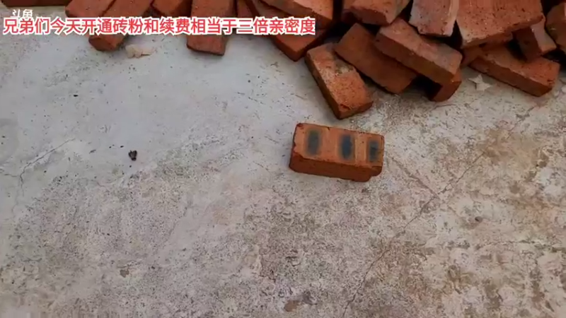 【2021-08-16 11点场】逐梦兄弟：全天双倍亲密度三倍上限，冲鸭！