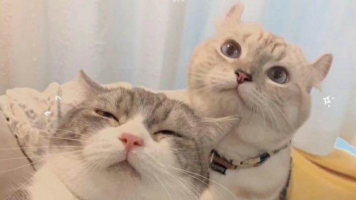啊
